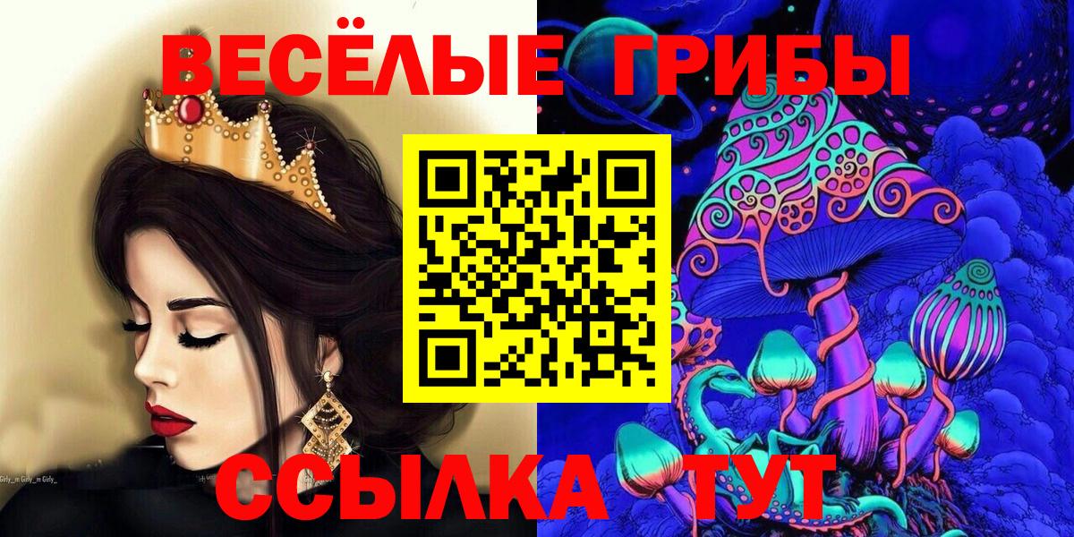 Галлюциногенные грибы MAGIC MUSHROOMS  Вход с VPN  Бийск 